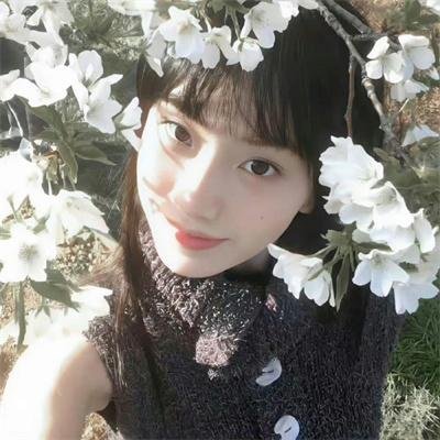 写给勃列日涅夫的信